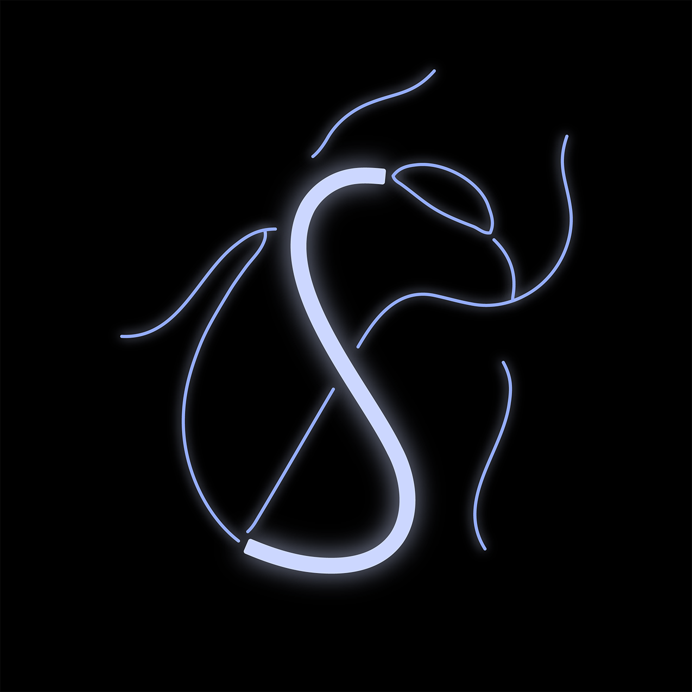 The SACER mark — a continuous thread forming an S